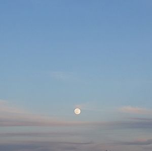 Meet your Posher, Shanae